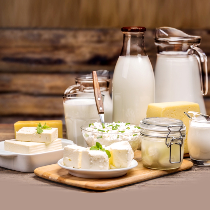 15 Toxic Foods For Birds: Keep Your Feathered Friends Safe 17 Dairy - Toxic Food For Parrots