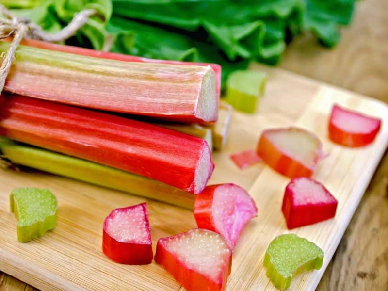 15 Toxic Foods For Birds: Keep Your Feathered Friends Safe 27 Raw Rhubarb Can Poison Your Bird