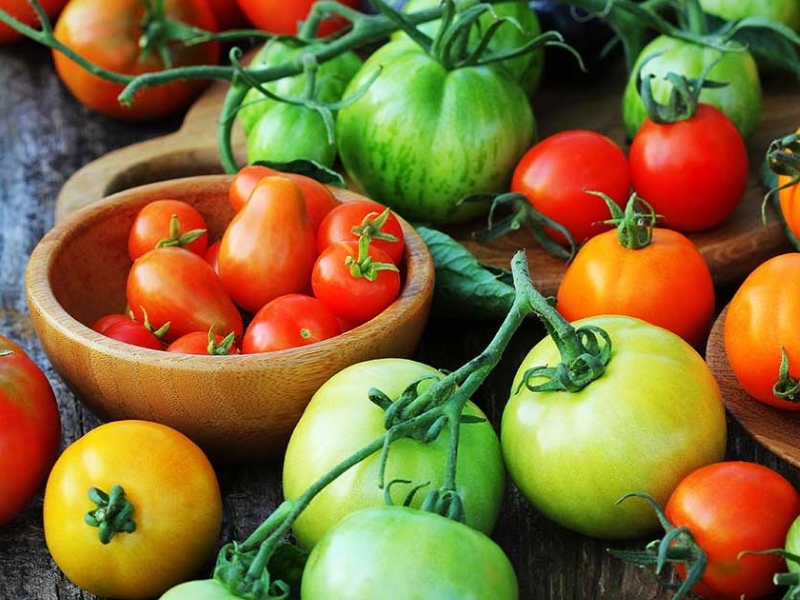 15 Toxic Foods For Birds: Keep Your Feathered Friends Safe 29 Tomatoes - Toxic Foods For Birds