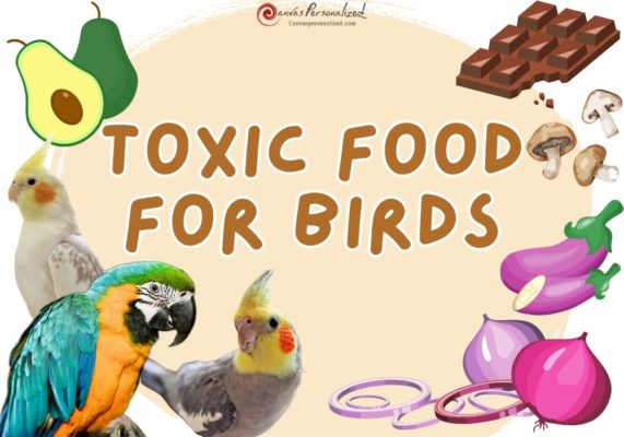 Toxic Foods For Birds