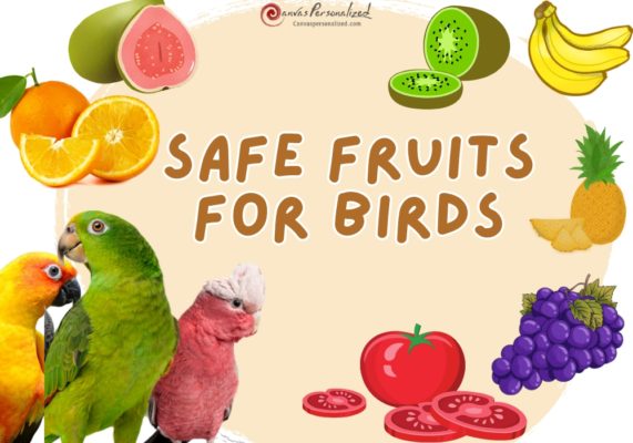Fruits For Birds