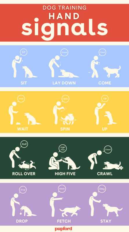 6 Techniques For Deaf Dog Training: Easy Step-By-Step For You To Follow 22 How To Train A Deaf Dog Hand Signals Chart