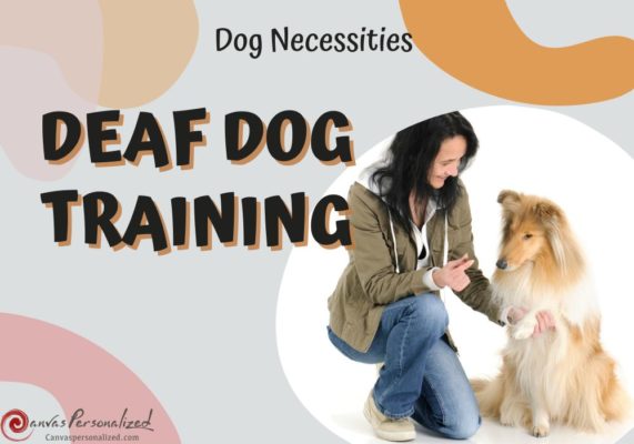 6 Techniques For Deaf Dog Training: Easy Step-By-Step For You To Follow