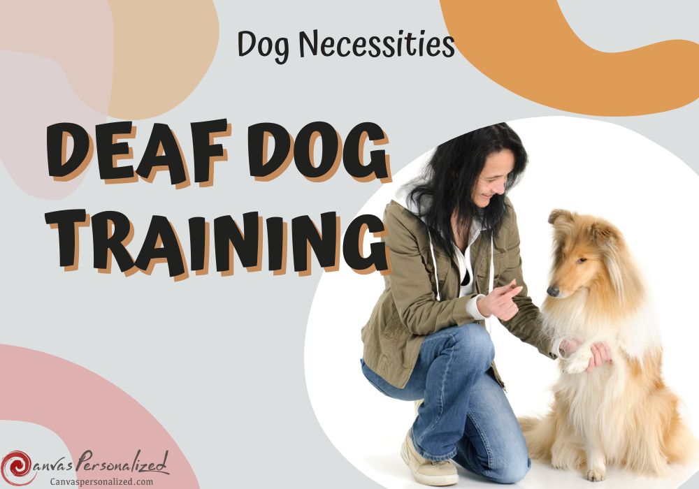 6 Techniques For Deaf Dog Training: Easy Step-By-Step For You To Follow