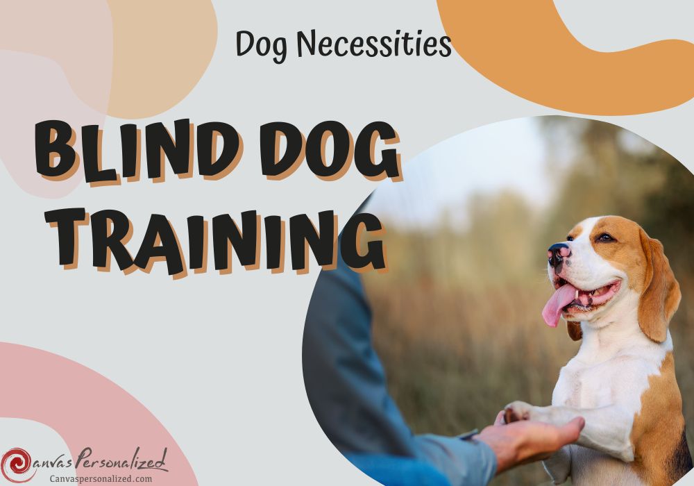 The Ultimate Guide To Blind Dog Training: 6 Techniques &Amp; Tips 12 The Ultimate Guide To Blind Dog Training: 6 Easy Techniques