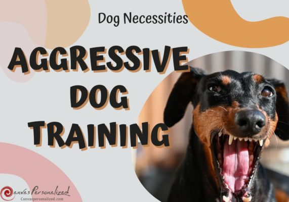 Aggressive Dog Training Tips: 7 Techniques For Success
