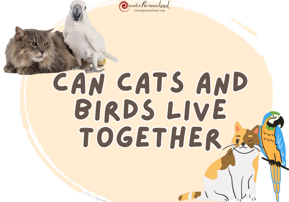 Can Cats And Birds Live Together: Best Tips For Harmony 4 Can Cats And Birds Live Together