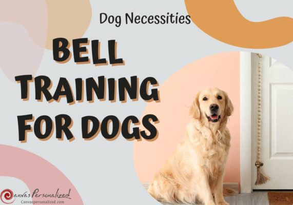 Bell Training For Dogs: A Step-By-Step Guide To Potty Train And More