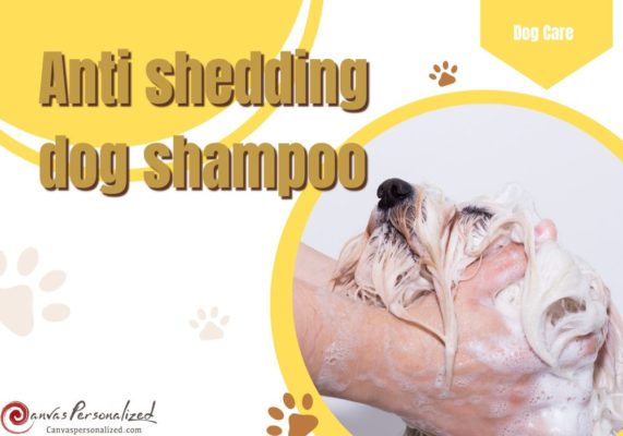 Say Goodbye To Dog Hair Everywhere: 15 Best Anti Shedding Dog Shampoo Ideas