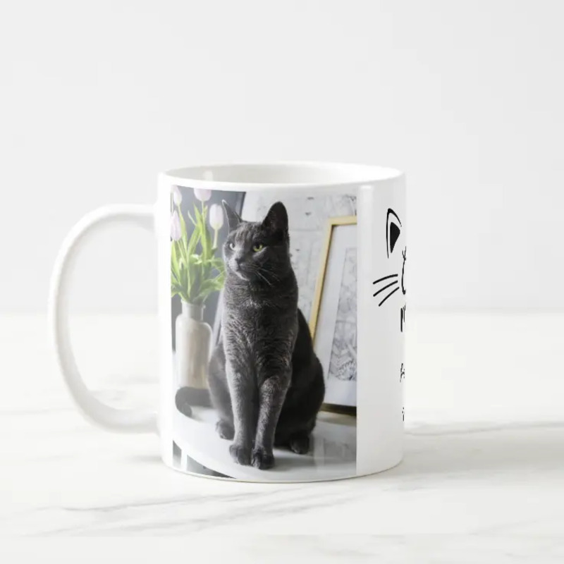 pet memorial gifts mug