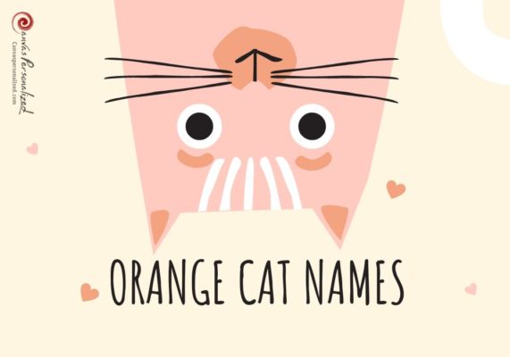 Orange Cat Names