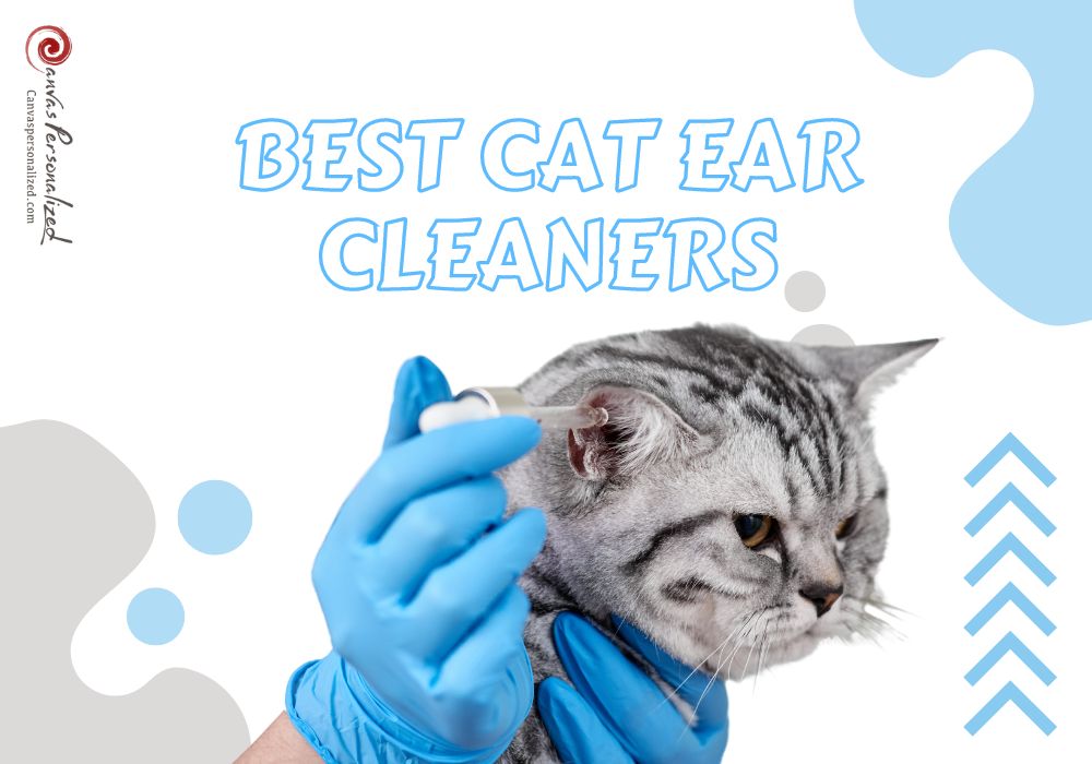 10 Best Cat Ear Cleaners By Vets Top Picks