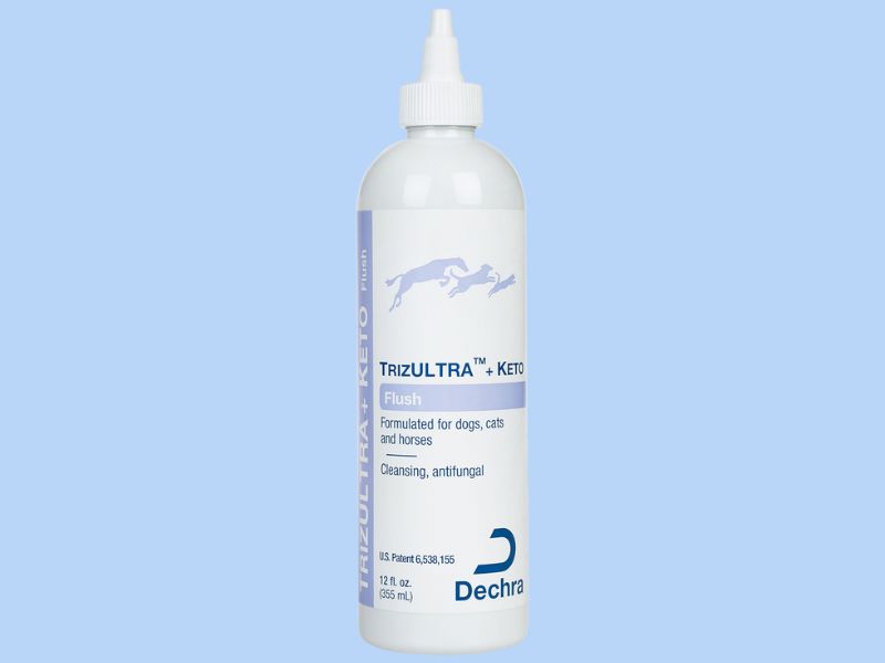 10 Best Cat Ear Cleaners Recommended By Vets - Top Picks 21 Cleaning My Cat'S Ears At Home