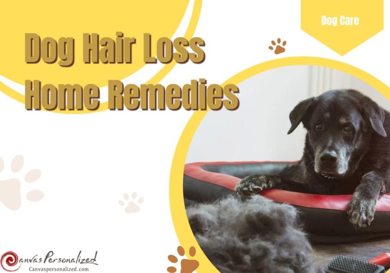 Image showcasing 13 Dog Hair Loss Home Remedies: Grow Dog's Hair Back Quickly