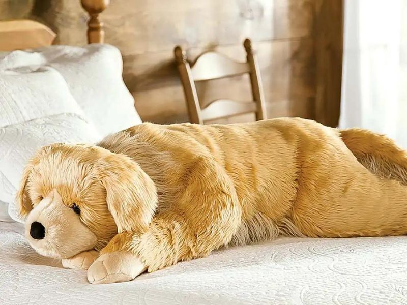 Body Pillow gifts for golden retriever lovers