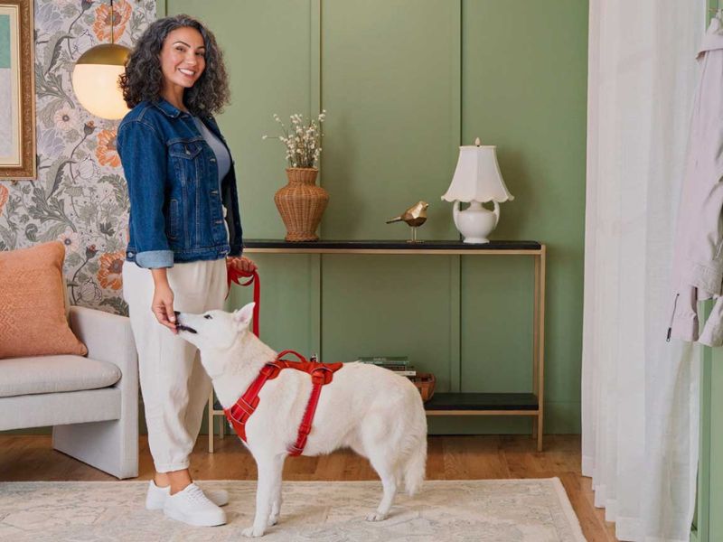 How To Leash Train A Puppy Or To Walk On A Leash: Tips &Amp; Tricks 17 Start With Small Steps How To Train A Puppy On Leash