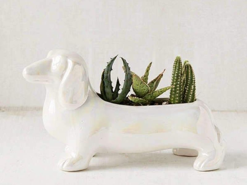 Top 30 Unique And Heartwarming Gifts For Dachshund Lovers 19 Dachshund Planter Pots For Dog Lovers