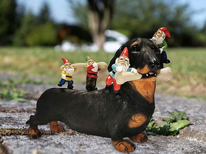 Top 30 Unique And Heartwarming Gifts For Dachshund Lovers 20 Funny Guy Mugs Gnome And A Dachshund Statue