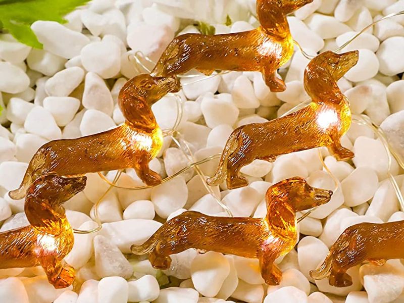 Top 30 Unique And Heartwarming Gifts For Dachshund Lovers 21 Wiener Dog Fairy Lights