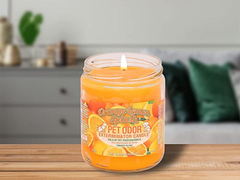 Discover 47 Gifts For Dog Lovers To Unleash Your Love In 2023 52 Pet Odor Exterminator Candle For Dog Owners