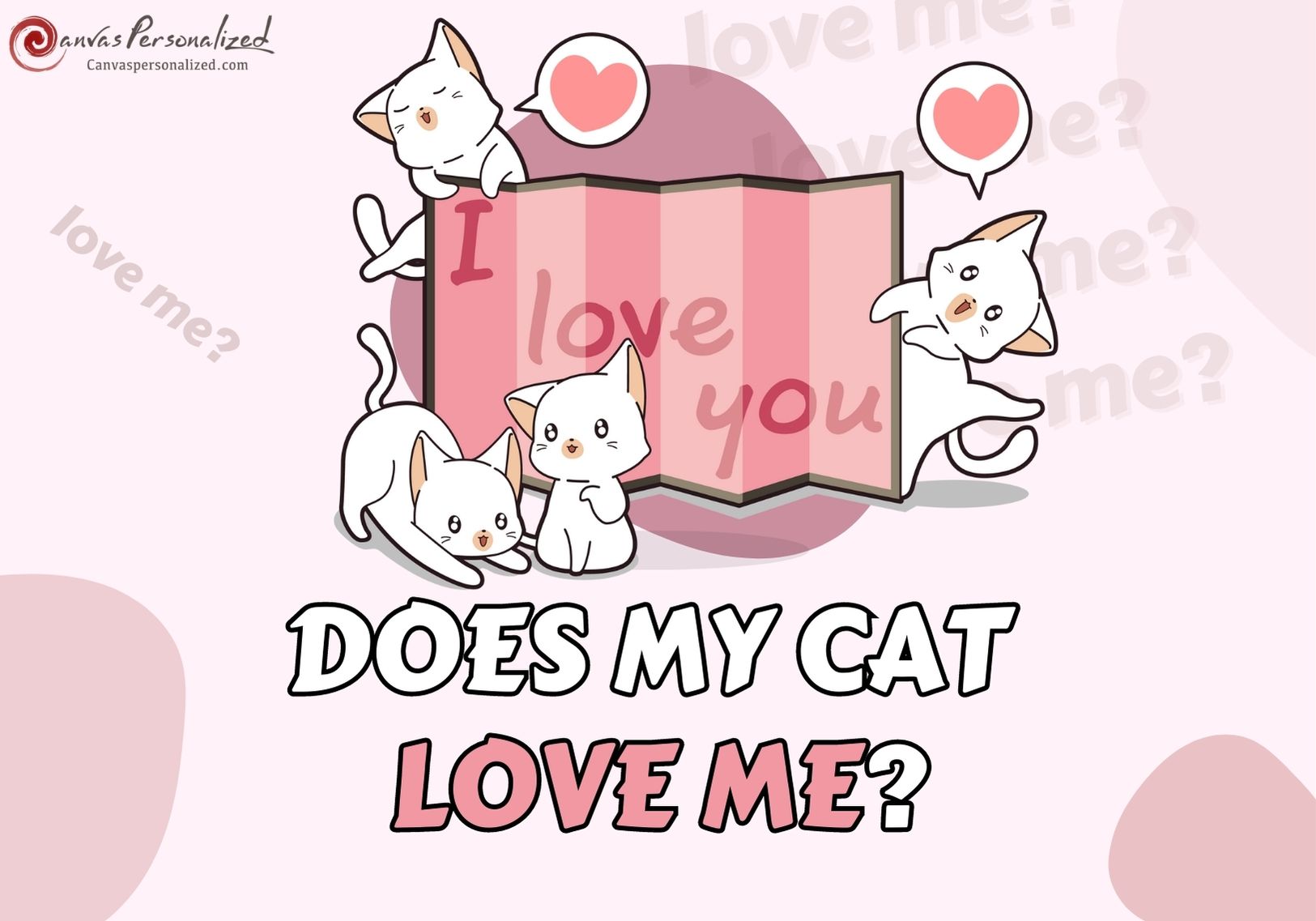 Does My Cat Love Me? Top 10 Signs To Know Their Affections