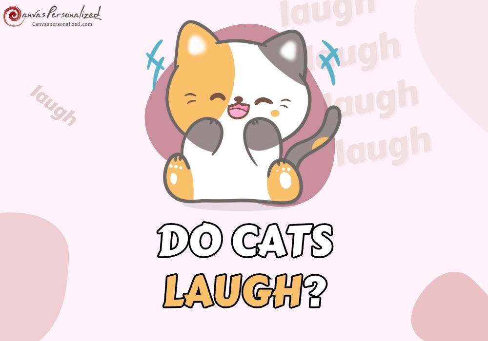 Do Cats Laugh? The Truth About Their Joyful Emotions! (2023)