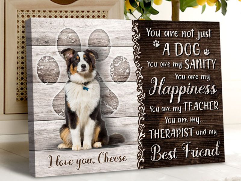 Discover 47 Gifts For Dog Lovers To Unleash Your Love In 2023 64 Custom Pet Portrait Gift Ideas For Dog Lovers