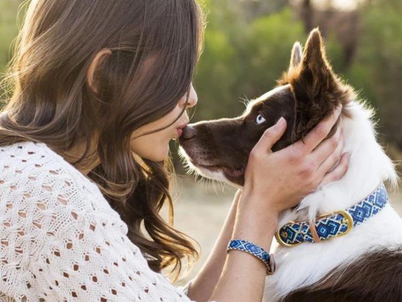 Discover 47 Gifts For Dog Lovers To Unleash Your Love In 2023 69 Friendship Collar Dog Collar And Matching Bracelet Gift Ideas For Dog Lovers