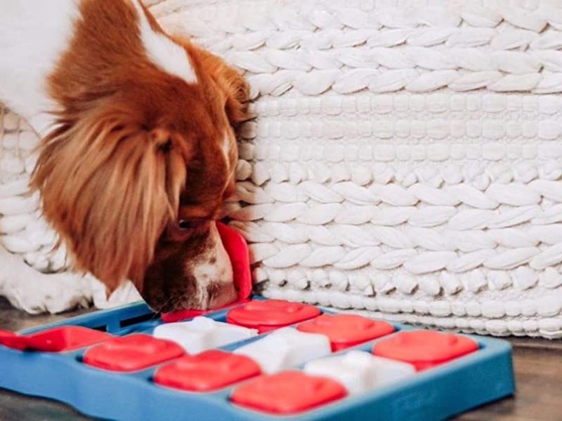Discover 47 Gifts For Dog Lovers To Unleash Your Love In 2023 70 Outward Hound Brick Puzzle Game To Keep Dog Eat Slow