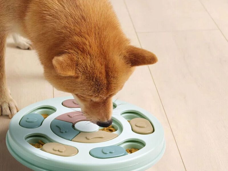 Discover 47 Gifts For Dog Lovers To Unleash Your Love In 2023 75 Dr. Catch Dog Puzzle Toy Gifts For Dog Lovers