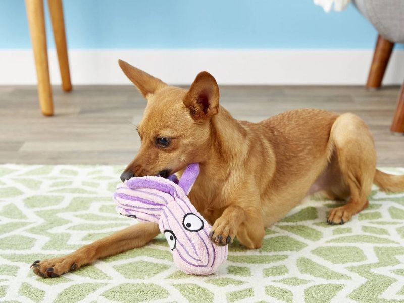 Discover 47 Gifts For Dog Lovers To Unleash Your Love In 2023 76 Cute Seas Octopus Dog Toy Gift Idea