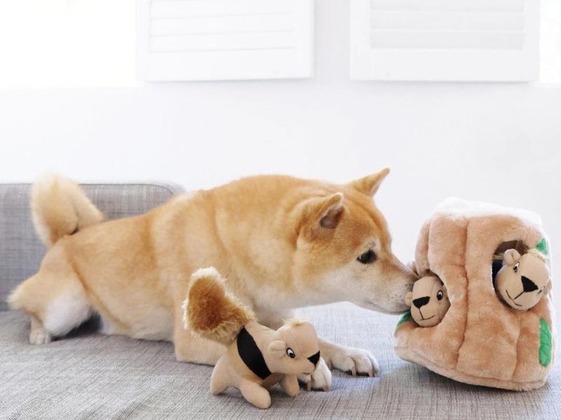 Discover 47 Gifts For Dog Lovers To Unleash Your Love In 2023 77 Outward Hound Hide A Squirrel For The Furry Friend