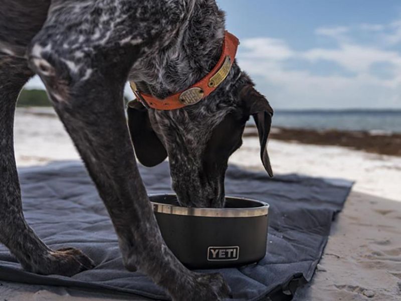 Discover 47 Gifts For Dog Lovers To Unleash Your Love In 2023 81 Yeti Boomer Dog Bowl Dog Themed Gifts