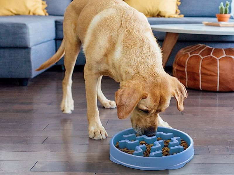 Discover 47 Gifts For Dog Lovers To Unleash Your Love In 2023 83 Fun Slow Feeder Dog Bowl For Gifts For Dog Owners