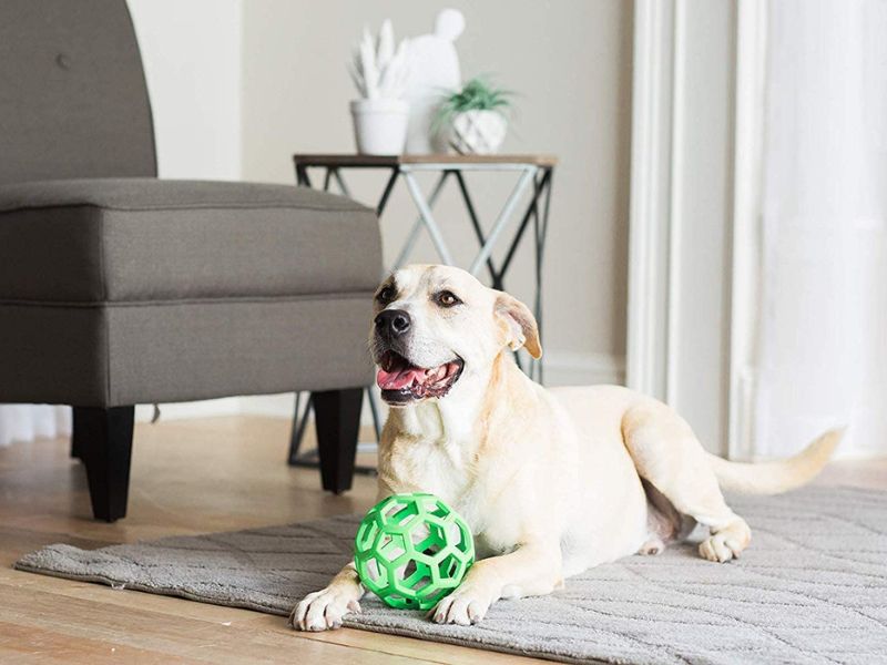 Discover 47 Gifts For Dog Lovers To Unleash Your Love In 2023 86 Jw Pet Hol-Ee Roller Dog Toy To Play At Home