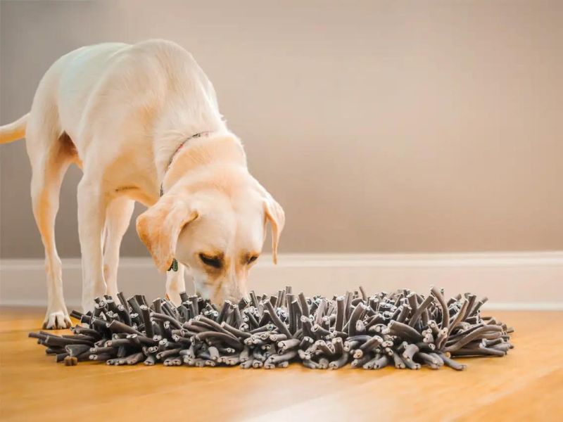 Discover 47 Gifts For Dog Lovers To Unleash Your Love In 2023 87 Pet Snuffle Mat For Dogs