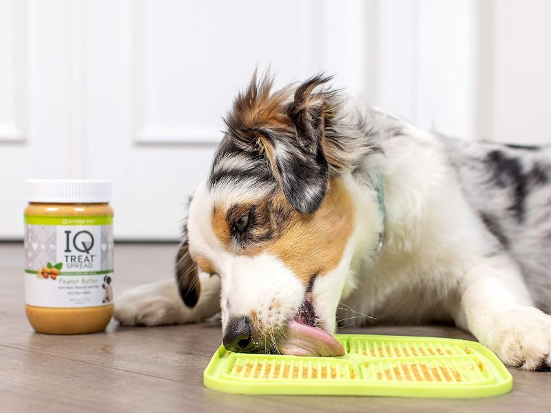 Discover 47 Gifts For Dog Lovers To Unleash Your Love In 2023 90 Hyper Pet Iq Treat Mat Dog Themed Gifts