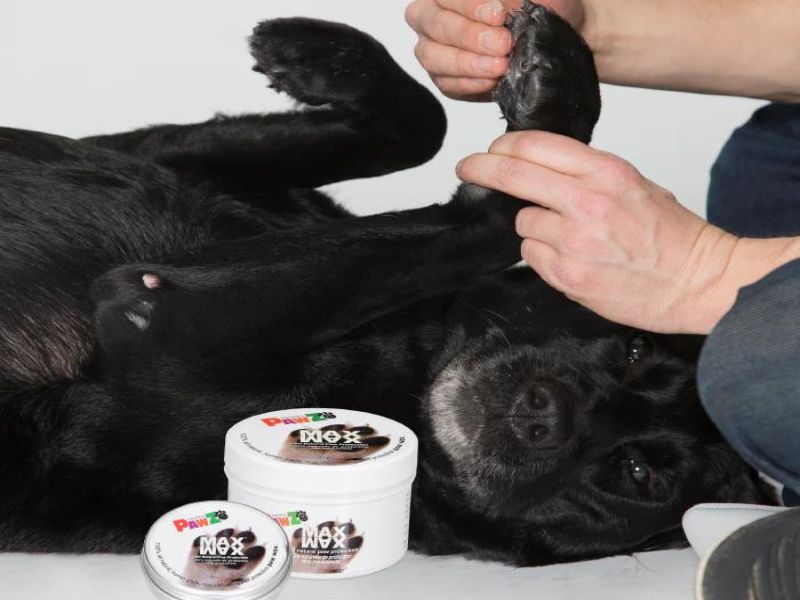 Discover 47 Gifts For Dog Lovers To Unleash Your Love In 2023 94 Paw Protection Natural Dog Wax