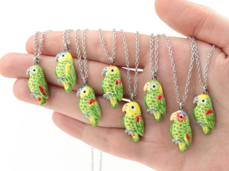 The 20 Best Gifts For Parrot Lovers A Comprehensive List