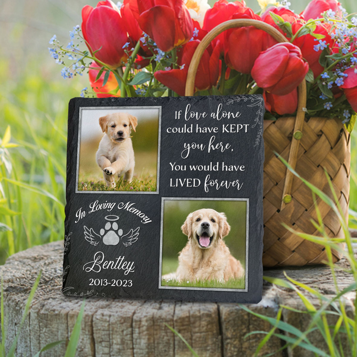 Passed Away Song For Loss Of Dog 30 Loss Of Dog Quotes That