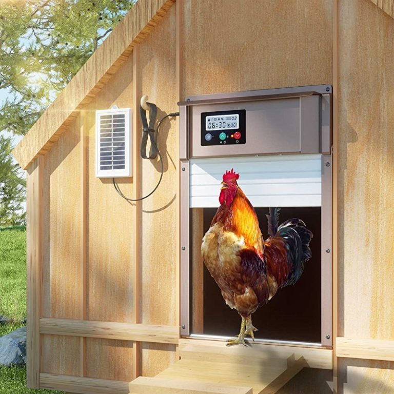 27 Best Gifts For Chicken Lovers That Will Make Their Feathers Ruffle