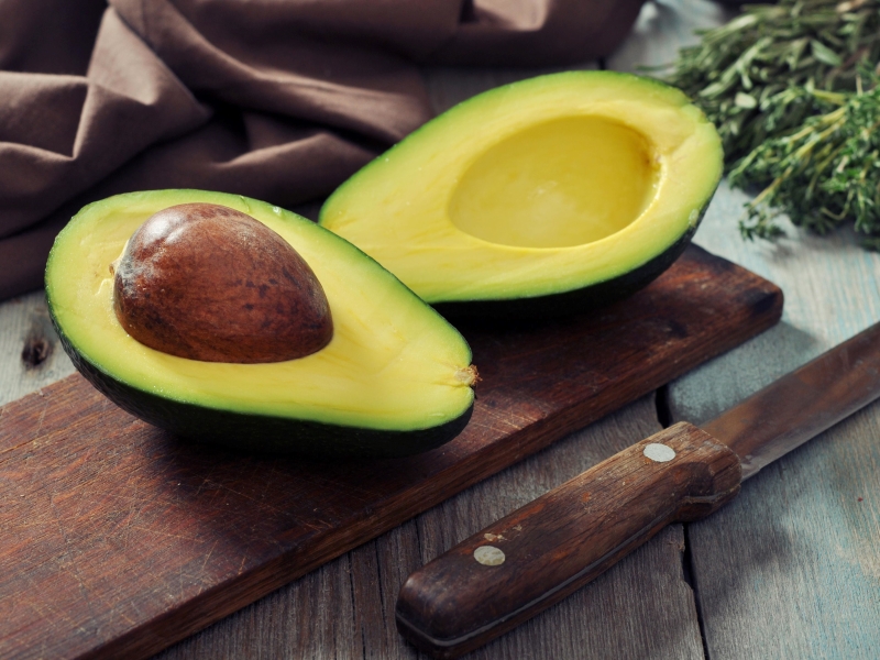15 Toxic Foods For Birds: Keep Your Feathered Friends Safe 16 Avocado Toxic Foods For Birds