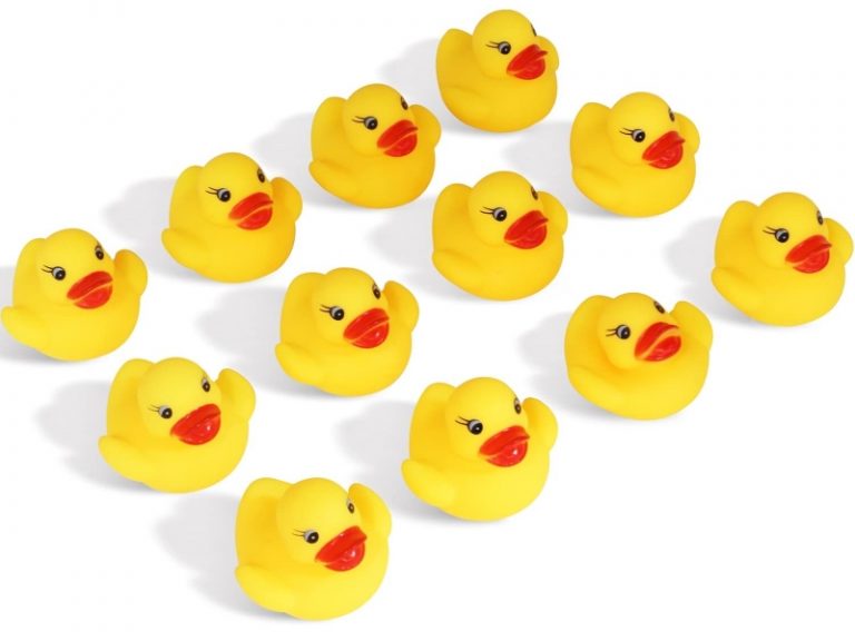 25 The Best Gifts For Duck Lovers That Will Make Them Happy