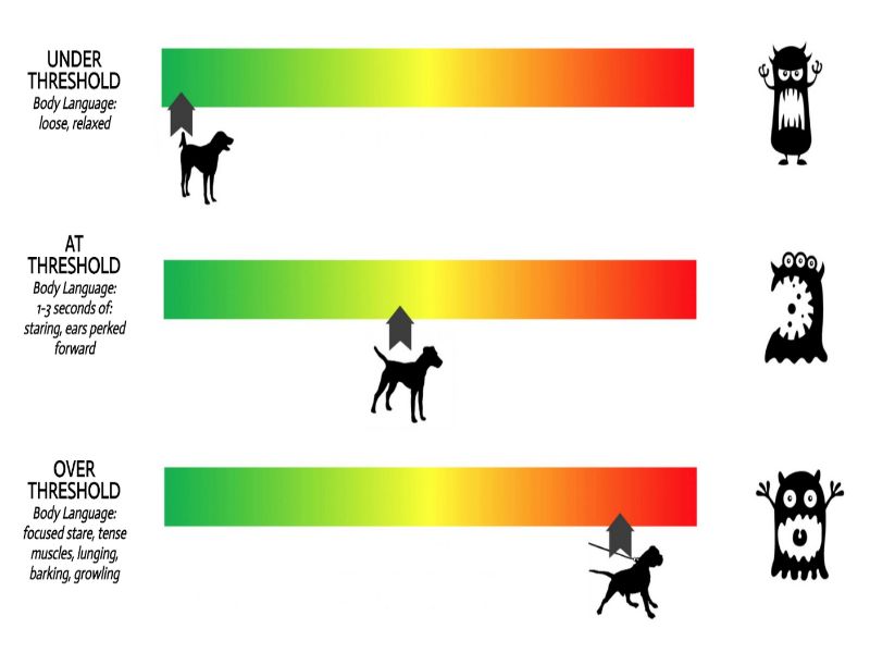 Effective Techniques And Tips For Aggressive Dog Training 23 &Quot;Under Threshold&Quot; In Aggressive Dog Training