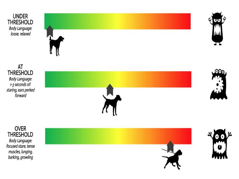 "under threshold" in aggressive dog training
