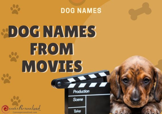 Top 430 Dog Names From Movies That Are Adorable And Unique