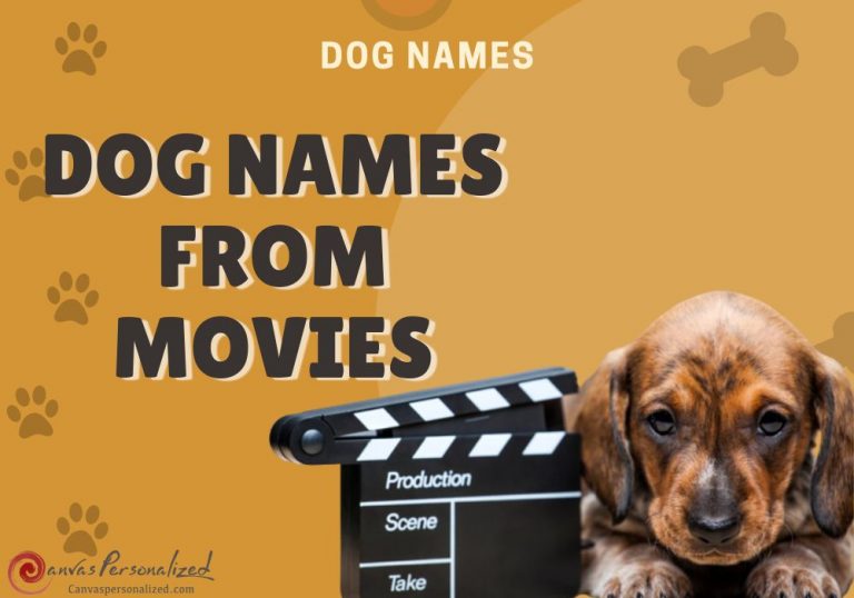 Top 430 Dog Names From Movies That Are Adorable And Unique top-430-dog-names-from-movies-that-are-adorable-and-unique