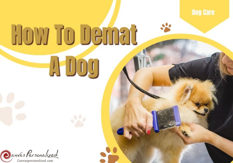 How To Demat A Dog At Home Safely With 6 Expert Tips & Tools