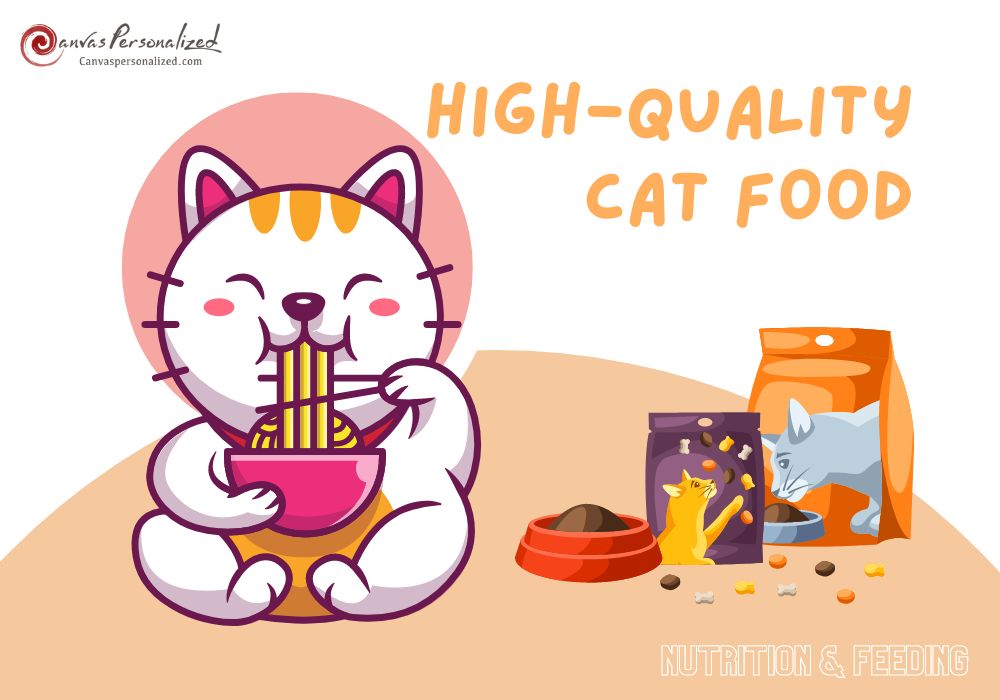 12 Most High-Quality Cat Food In 2023 - Recommended By Vets 15 High-Quality Cat Food