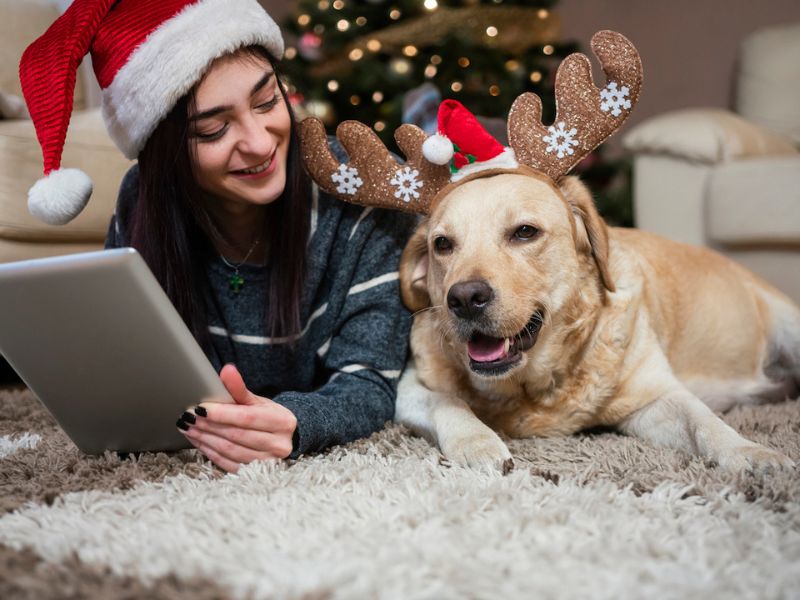 Discover 27+ Gifts For Labrador Lovers: Best Picks 2024 57 Tips To Choose The Labrador Gifts For Dog Lovers